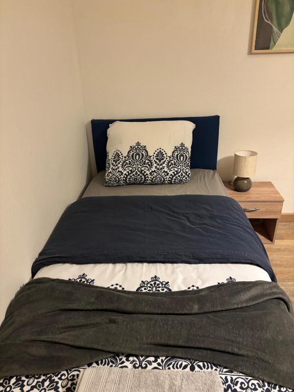 Charming 3 rooms - Mulhouse center - 3