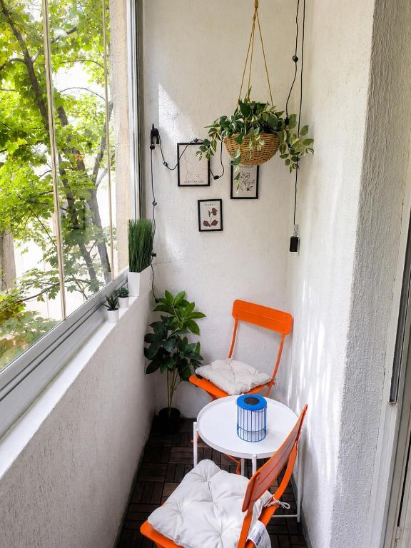 Dorcol Apartment 1Walk to Knez Sleeps 4 - 5