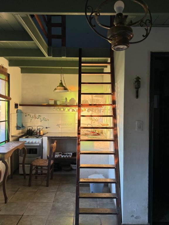 Casa en el campo - casa huéspedes en estupenda chacra de 10 ha - 4