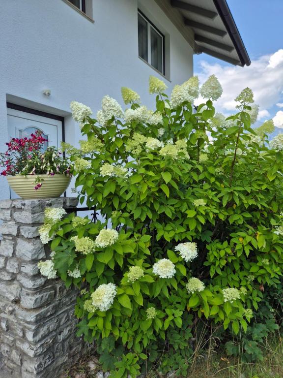 Haus Beutle - 3