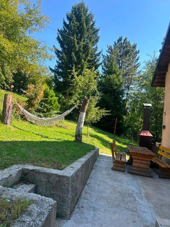 Piccola foresta - 5