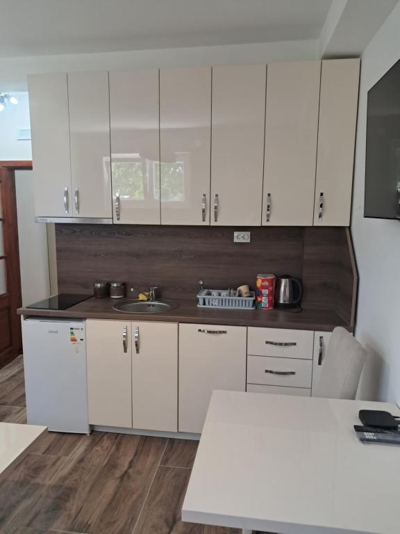Apartment Nikola R - 2