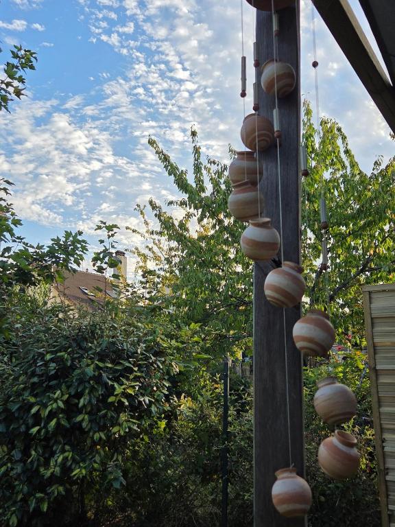 Casa Betel - Tiny House - 4