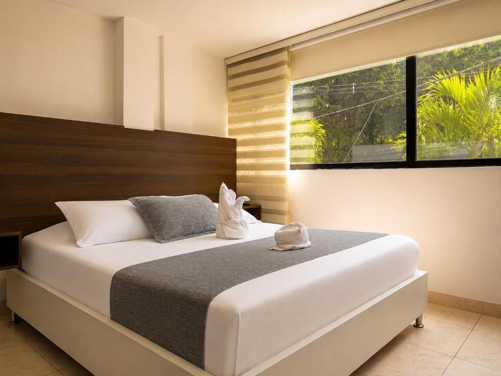 Hotel Laureles Palo Alto - 5