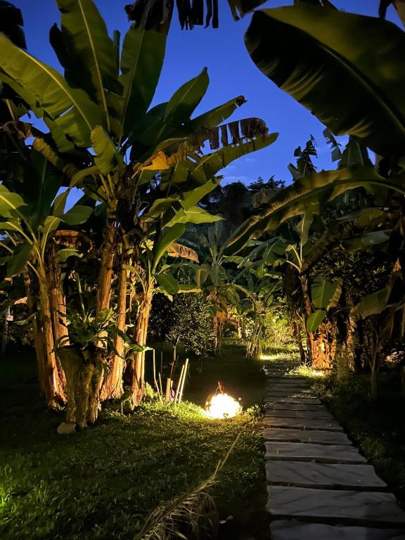 Kapiro Ecolodge Satipo - 2