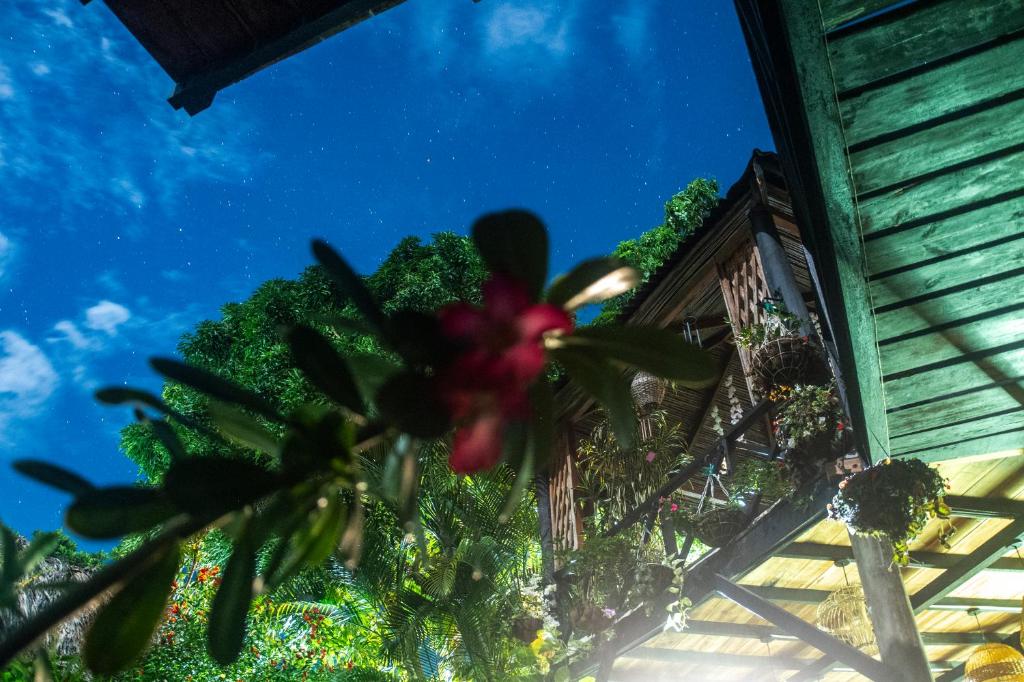 Hostal Antawara Tayrona - 2