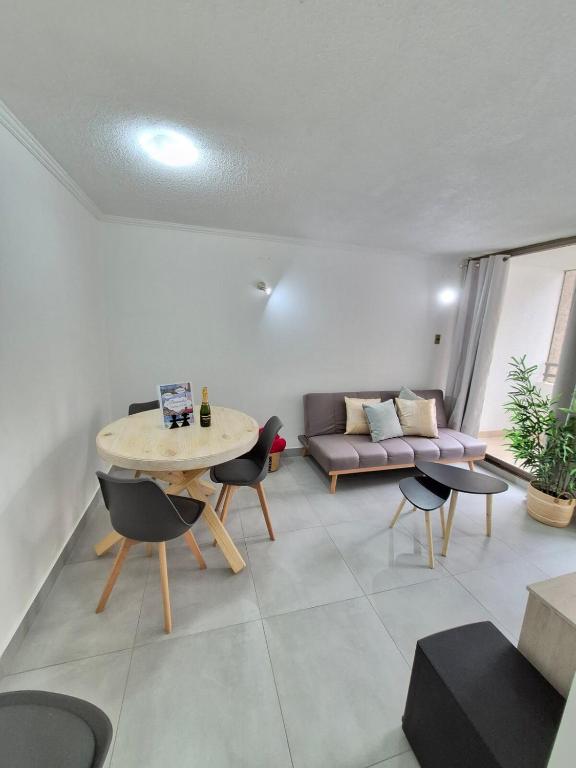 Downtown Apartment in Santiago Chile - 1