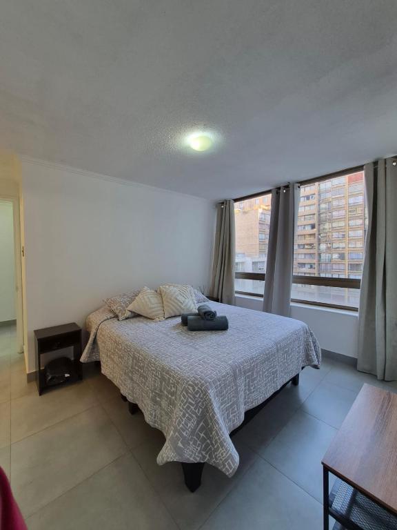 Downtown Apartment in Santiago Chile - 5