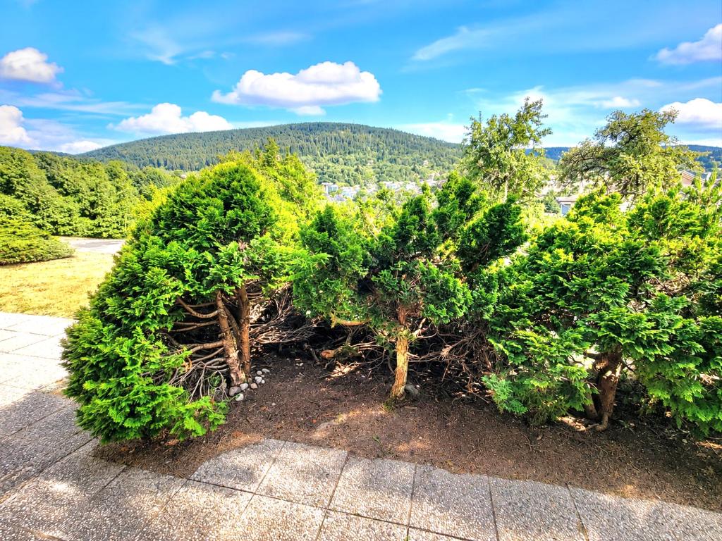 Charmant chalet - appartement avec chambre - terrasse - jardin- parking - proche toutes commodités et lac - calme - lisière de forêt - 3