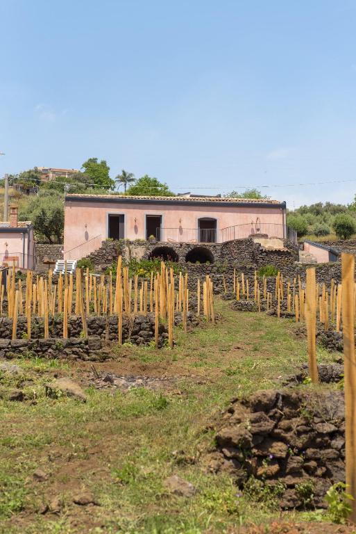 Tenuta Costa Sovere - 3