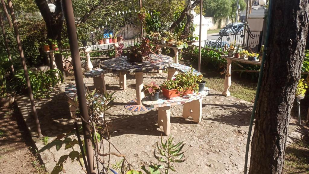 Departamento los lapachos - 5