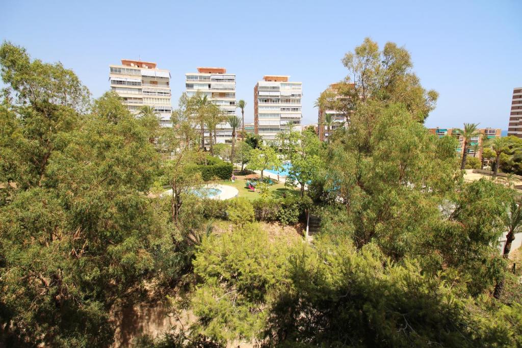 Apartamento Bahia Azul junto a Playa Muchavista, E - 4