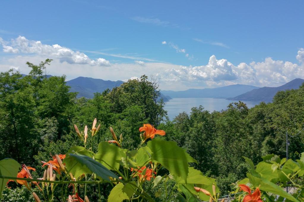 Residenza sul Lago Maggiore - 2