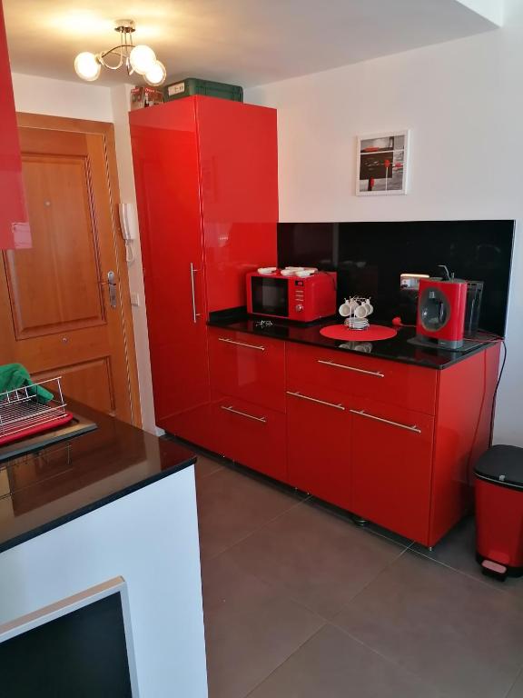 Large studio rental with pool en 1ere ligne de mer - 4