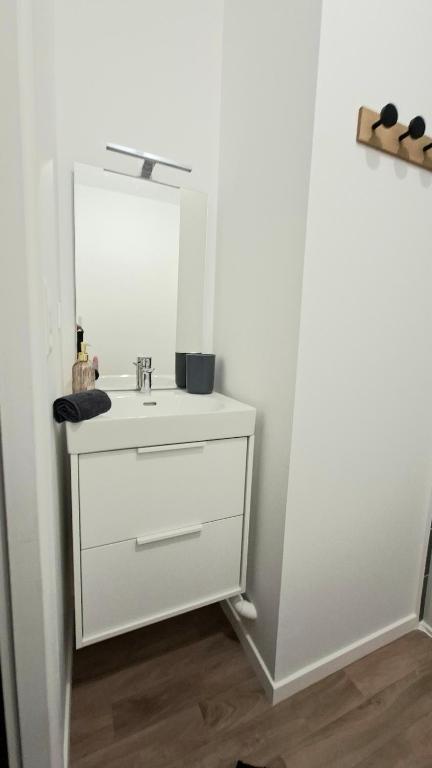 Studio moderne et cosy, hypercentre du Mans - 2