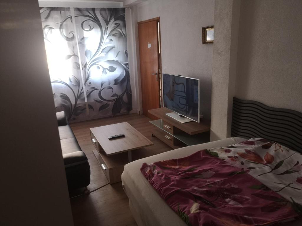 Garsonijera Room Zimmer - 3