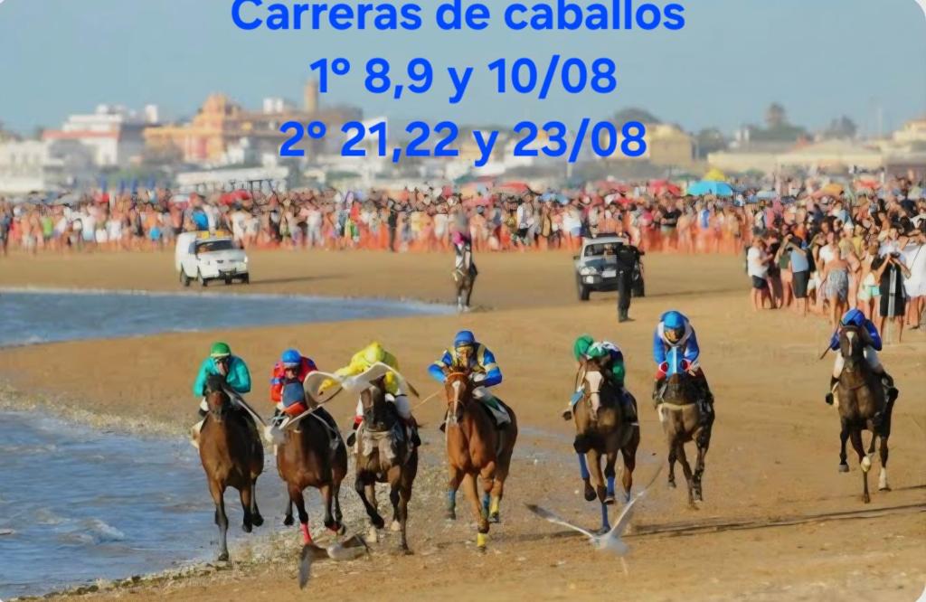 Tierra y Mar - 2