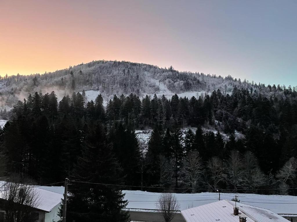 Le Balcon - La Bresse - 3