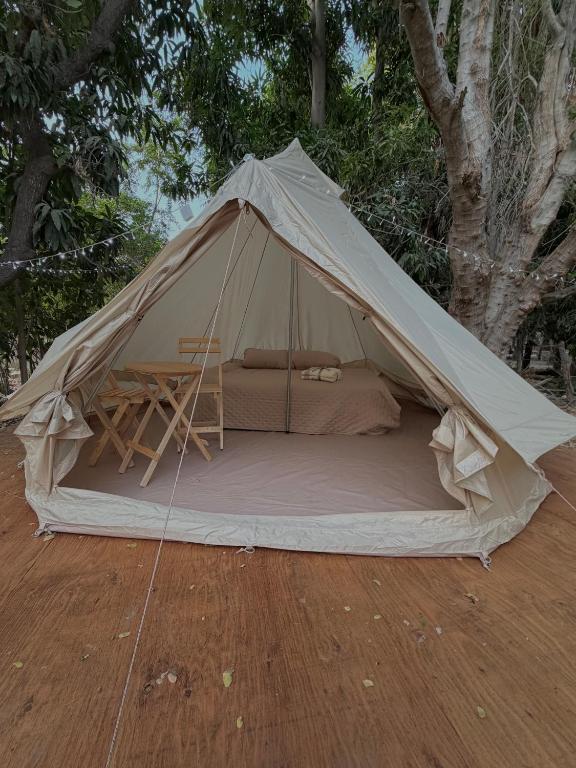 BajaRoots Glamping - 1
