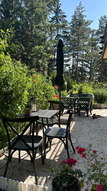 Studio Violeta Zlatibor - 2
