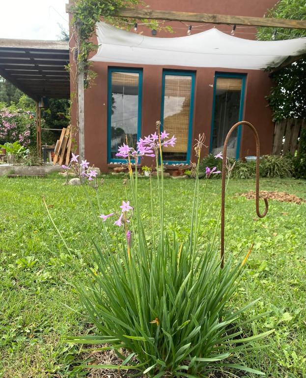 Tiny House Marencalma - 5