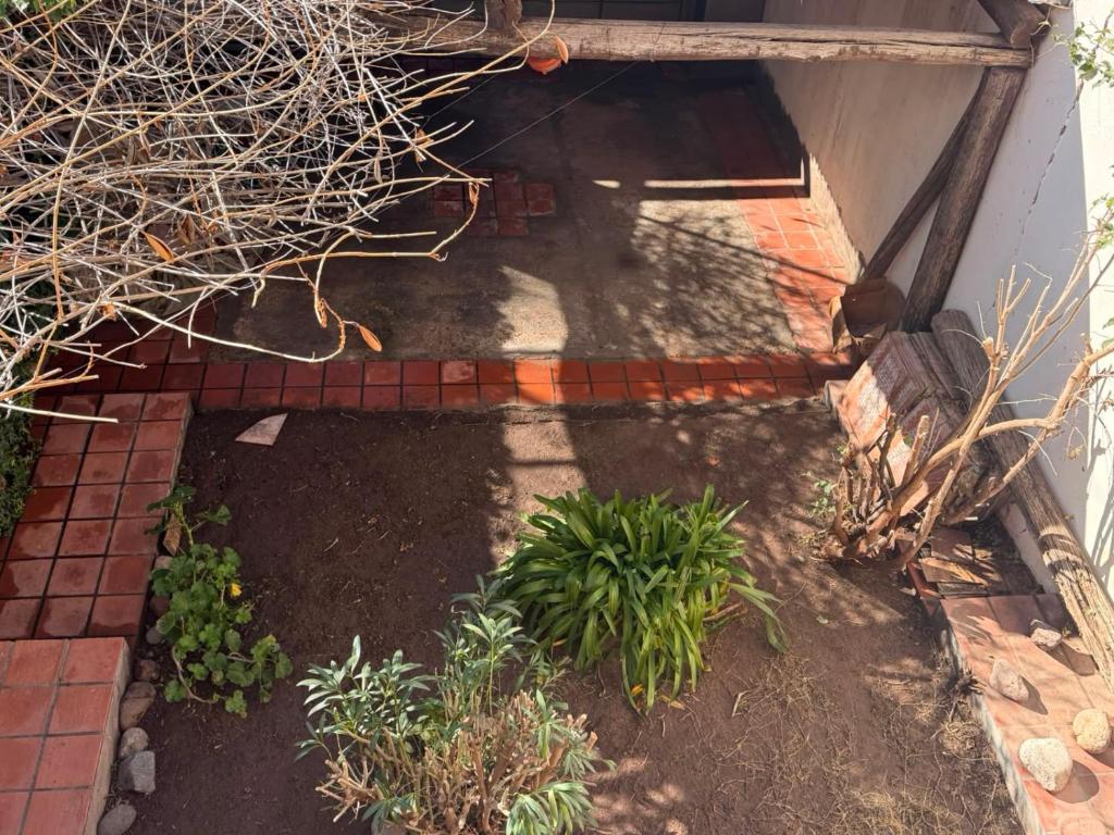 TRAPICHE SUITES HABITACIONEs - 5