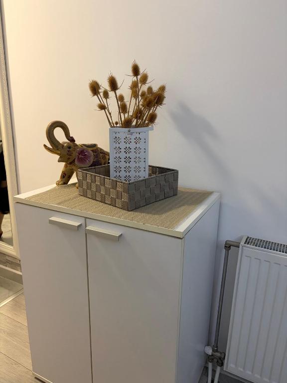 Apartman Sanja - 3