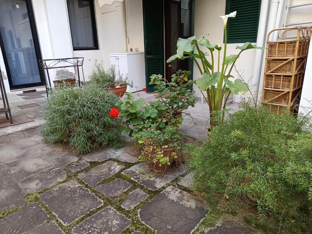Savonarola Home Florence Italy - 3