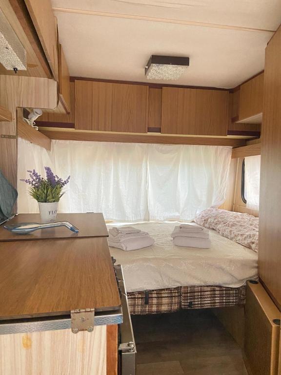 CAMPING AMALASUNTA - 2