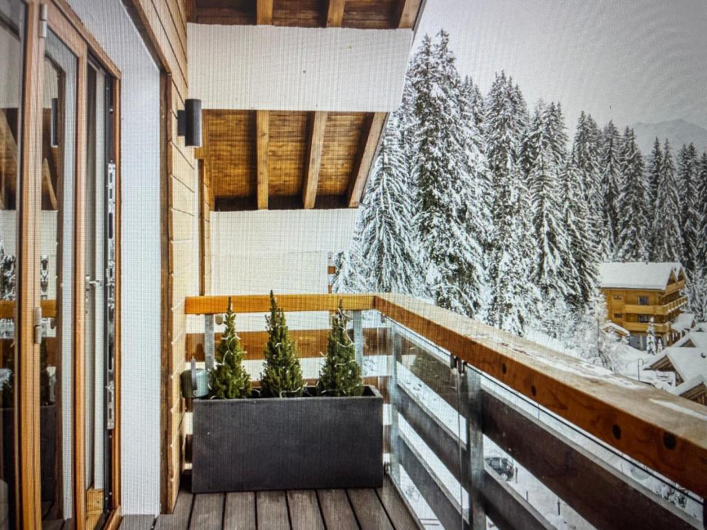 Crystal Lodge St Moritz - 3