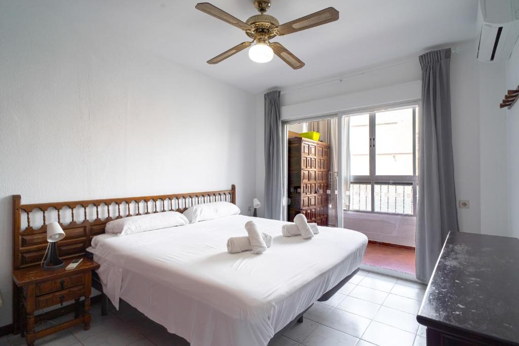 Corona 204 Apartments Casasol - 4