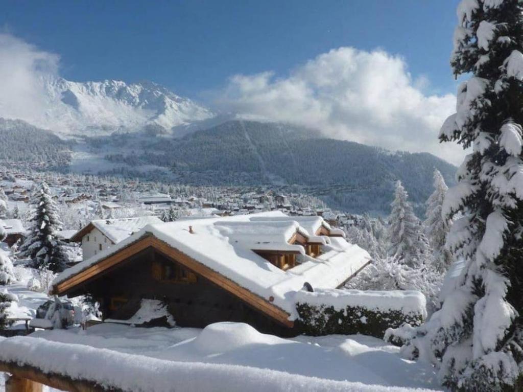 Chalet Lion d'Or - 1
