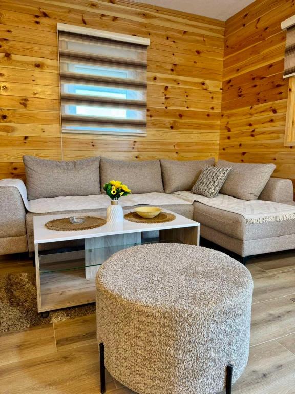 A&A Durmitor Apartments - 4