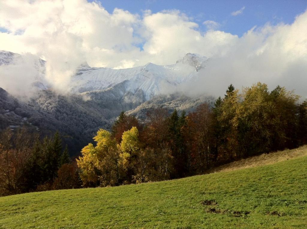 Enire Property in Frasse four bedrooms - 4