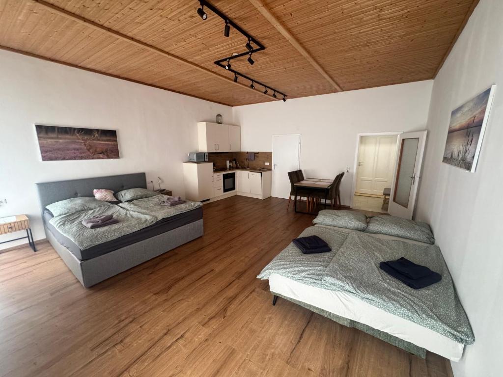 Apartment mit Balkon Kaiser von Österreich - 4