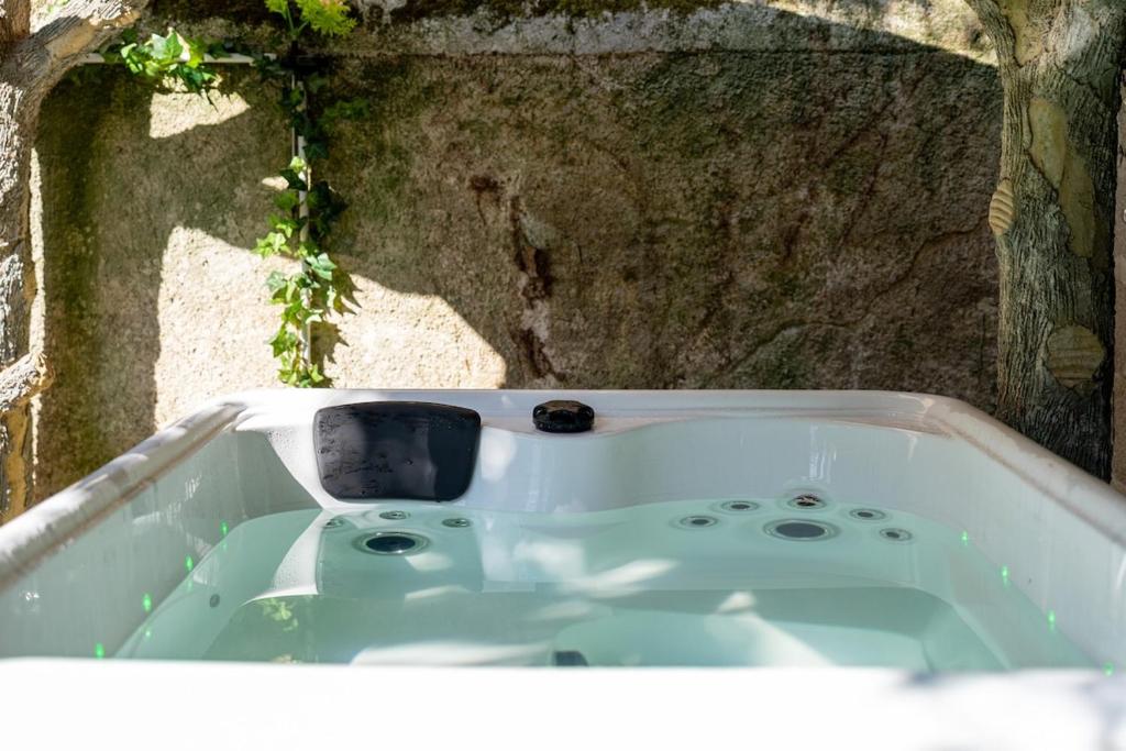 Dormez face au Château Royal, Spa, Ile d'Or - 5