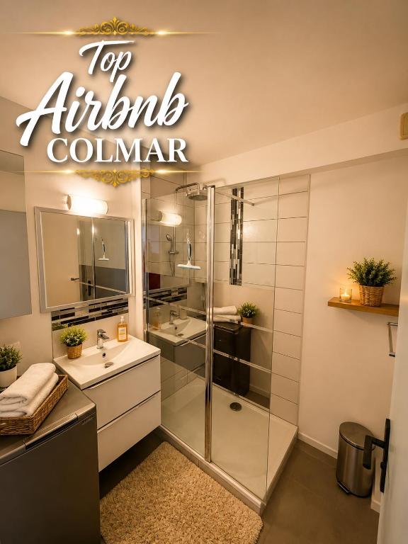 Coup de cœur à Colmar Appartement en plein centre - 5