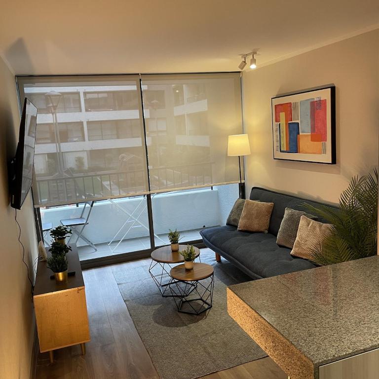 Comfortable apartment in Santiago - 1