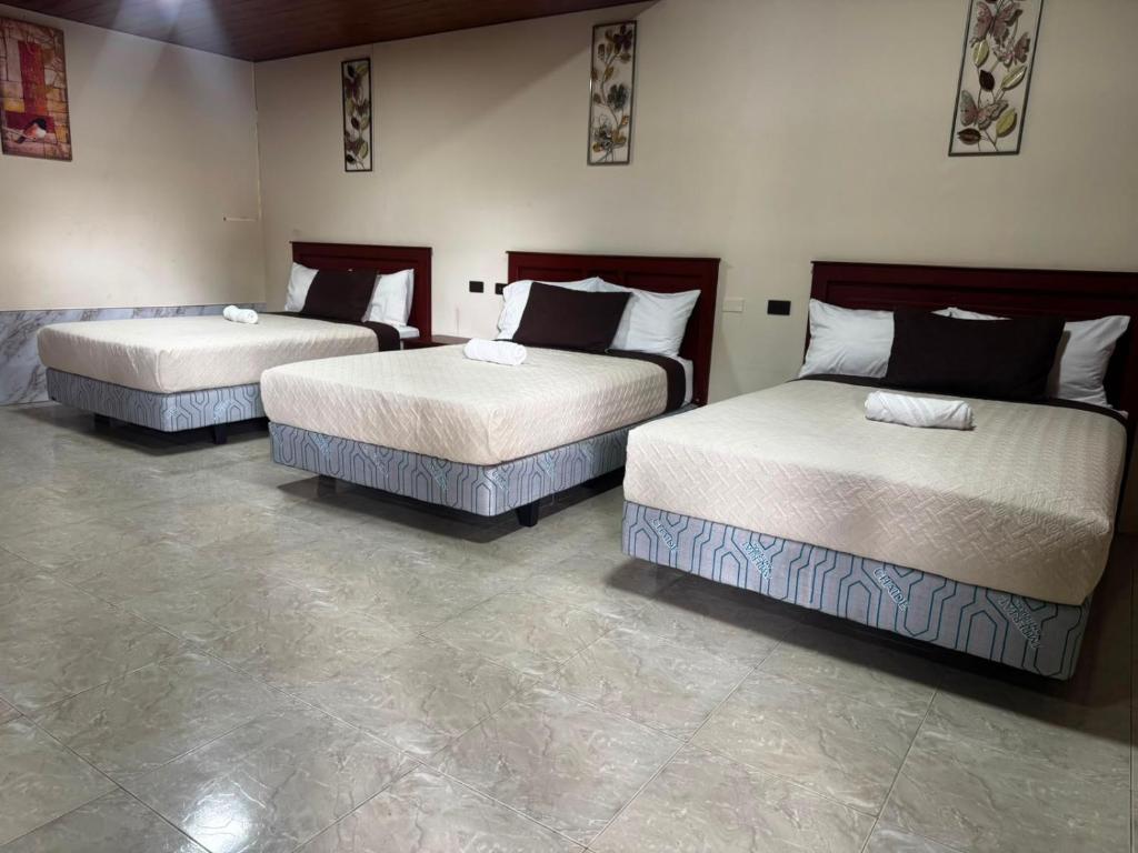 Salamandras Hostería & Spa - 2