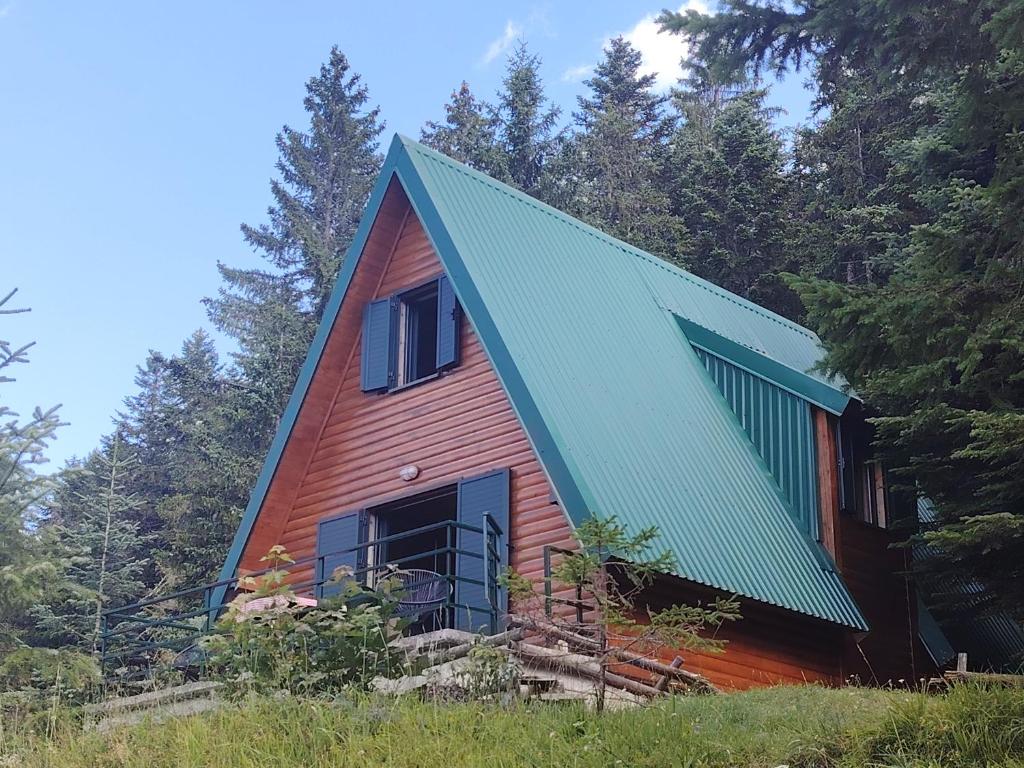Woodland House Retreat - Cozy Cabin near the Town Center - 1
