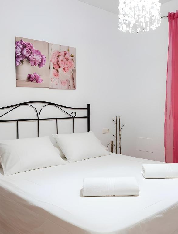 Chalet Piscina Privada Conil SOLO para familias y parejas - 3