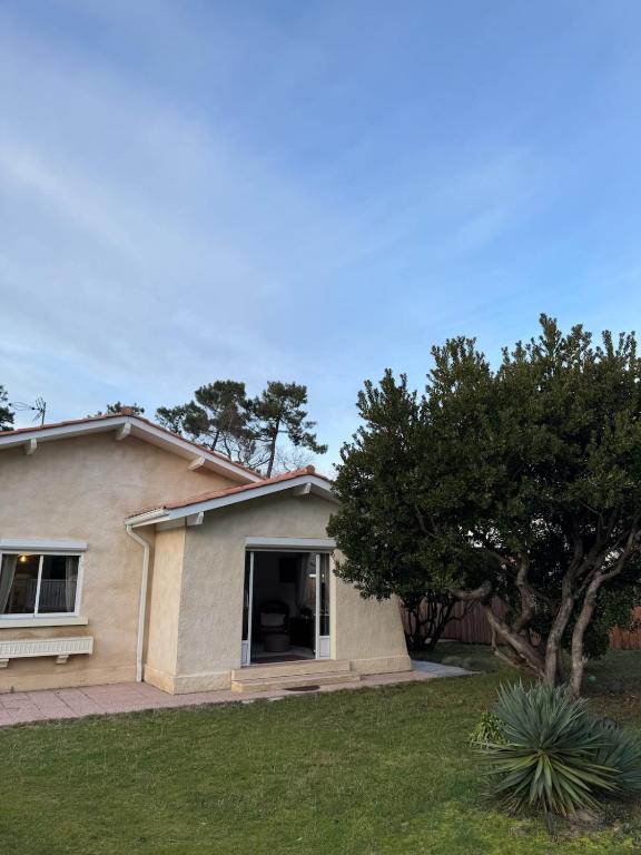 Villa La Hutte Cap Ferret - Grand Piquey - 1