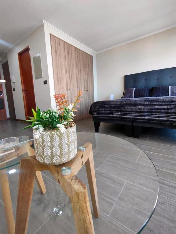 Departamento estudio a pasos de playa Cavancha - 2