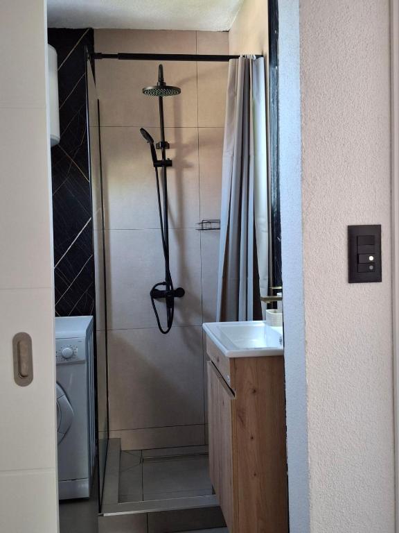 Golubovic apartmani - 1