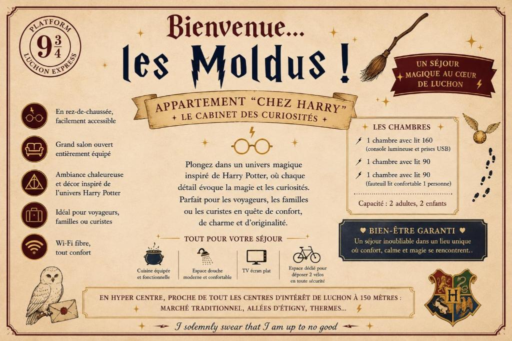CHEZ HARRY POTTER- Séjour Magique au Cœur de Luchon - 1