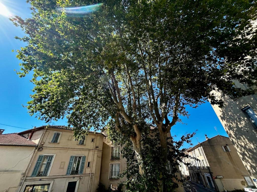 L'AUBANEL - Centre Ville - CLIM WIFI - 1 chambre 4 personnes - Visites à pied - - 4