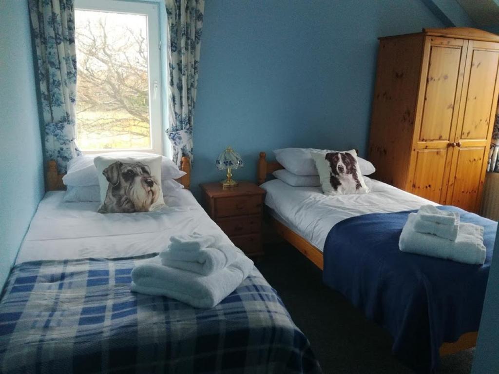 Ty Newydd, Llangadog photo 2