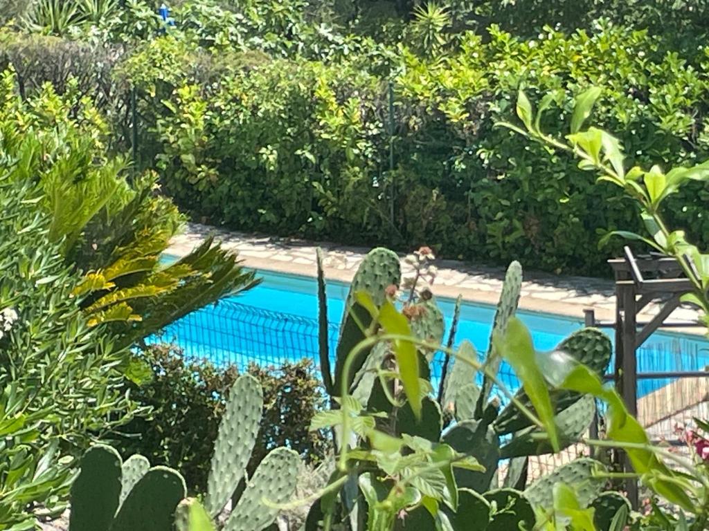 Villa Jade - 2