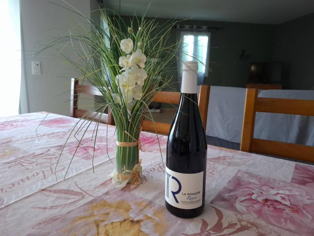 Le Clos du petit Parrot - 5