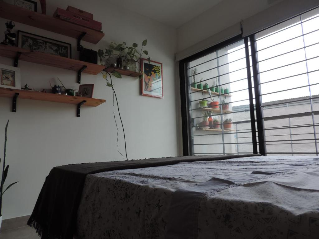 Estudio Jujuy Pichincha, Metropolitano - 2